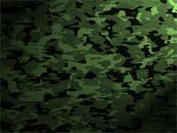 camouflage - powerpoint backgrounds