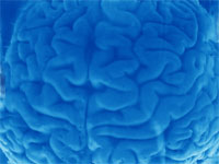 human brain - powerpoint backgrounds