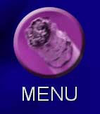 the menu button